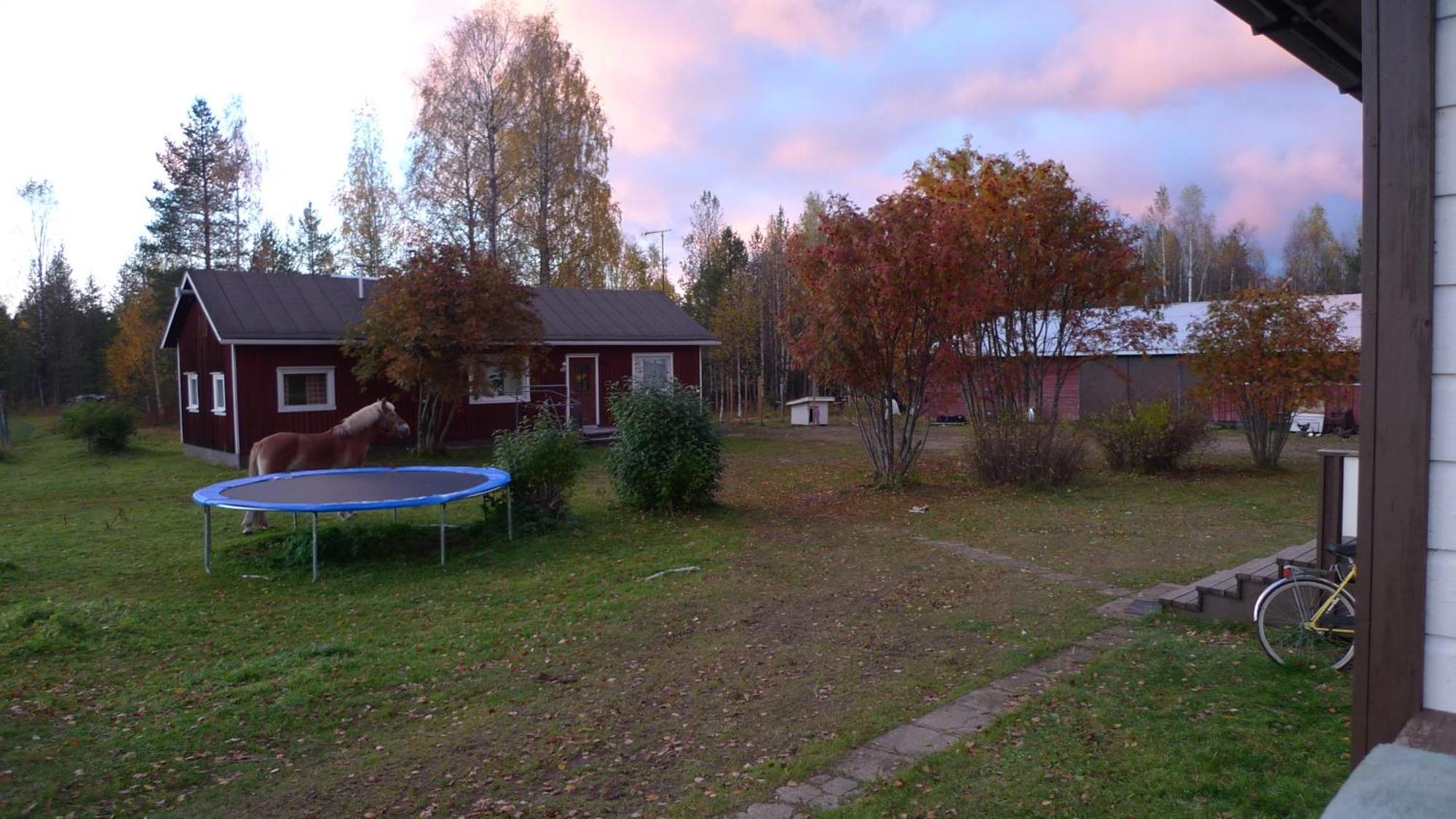 Heidin Mummola Farm Villa Pello Luaran gambar